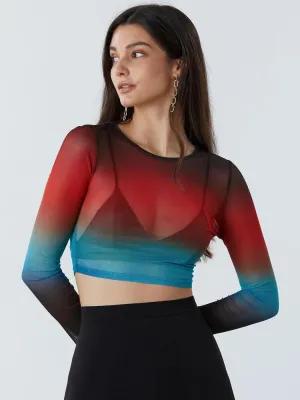 Ombre Sheer Round Neck Crop Top