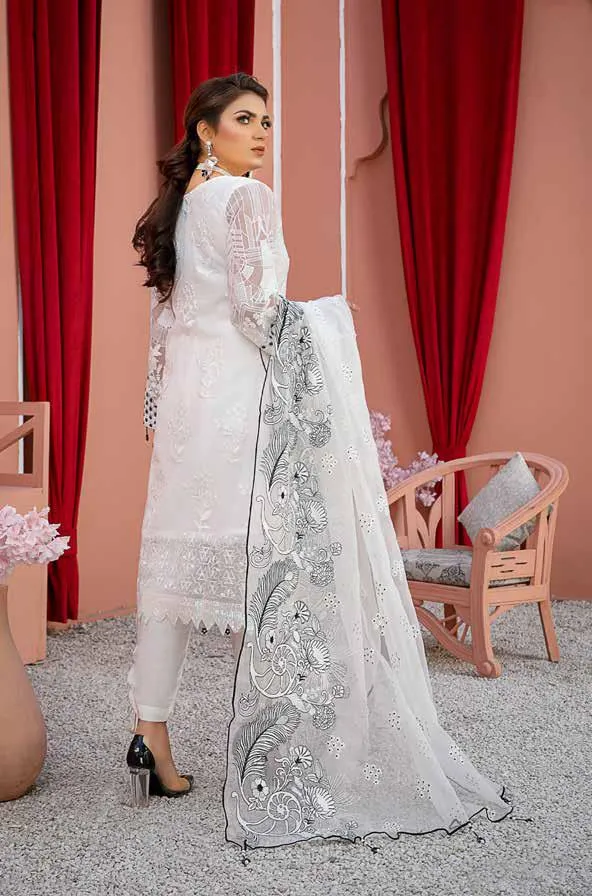 Poshak Sadabahar Embroidered Chiffon Collection – DN-01